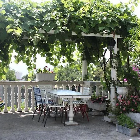 Studio Gradac 6660c Apartment Gradac (Split-Dalmatia)